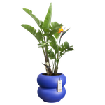 amber roll low 43cm royalblau